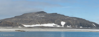Walrus on the shore of Phippsøya