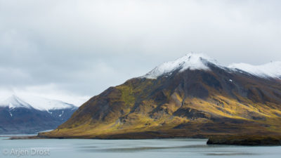 The tundra of west Spitsbergen in autumn