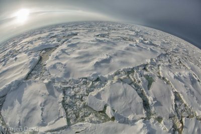 Sea ice near Peter I island in the Bellinghausen Sea, Antarctica