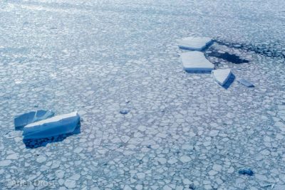 An aerial photo of icebergs and sea ice in the Ross Sea