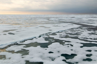 Pack ice at 82ºN, north of Spitsbergen
