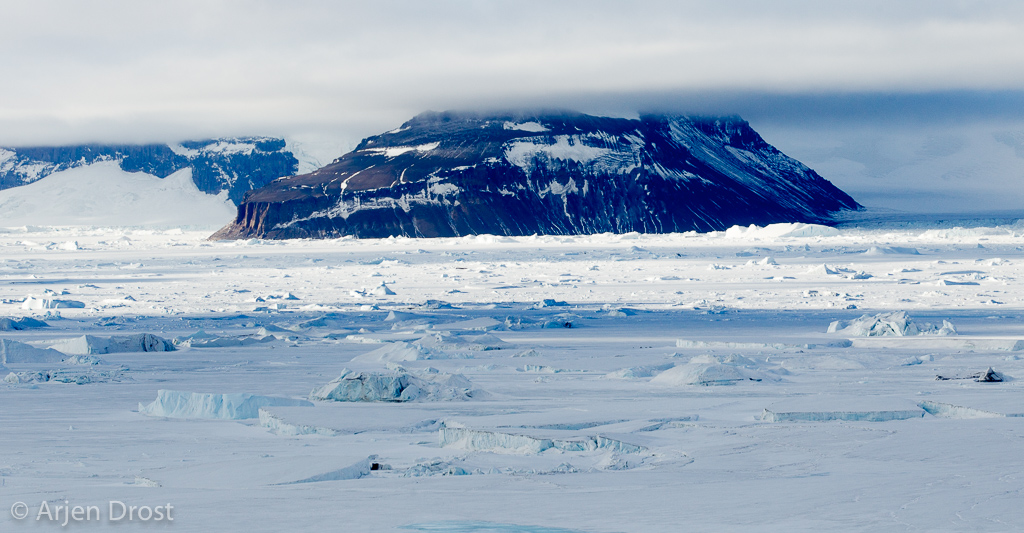 He, Who Rules Them All – Emperor Penguins Of Snow Hill Island 